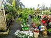 Read more about Business Brokers in Port Macquarie and Businesses for sale